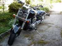 /album/fotogaleria-inicio/fiesta-iguanas-20-5-2011-011-jpg/